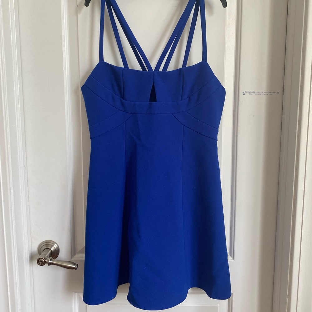 BCBG Cocktail Mini Dress